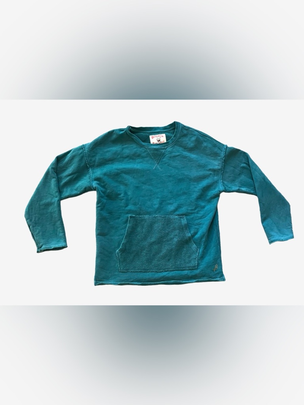 Birdwell Beach Britches Terry Cloth Surf Hoodie Kangaroo Pocket Teal Large